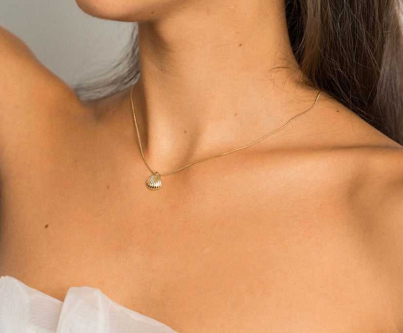 Seashell Necklace