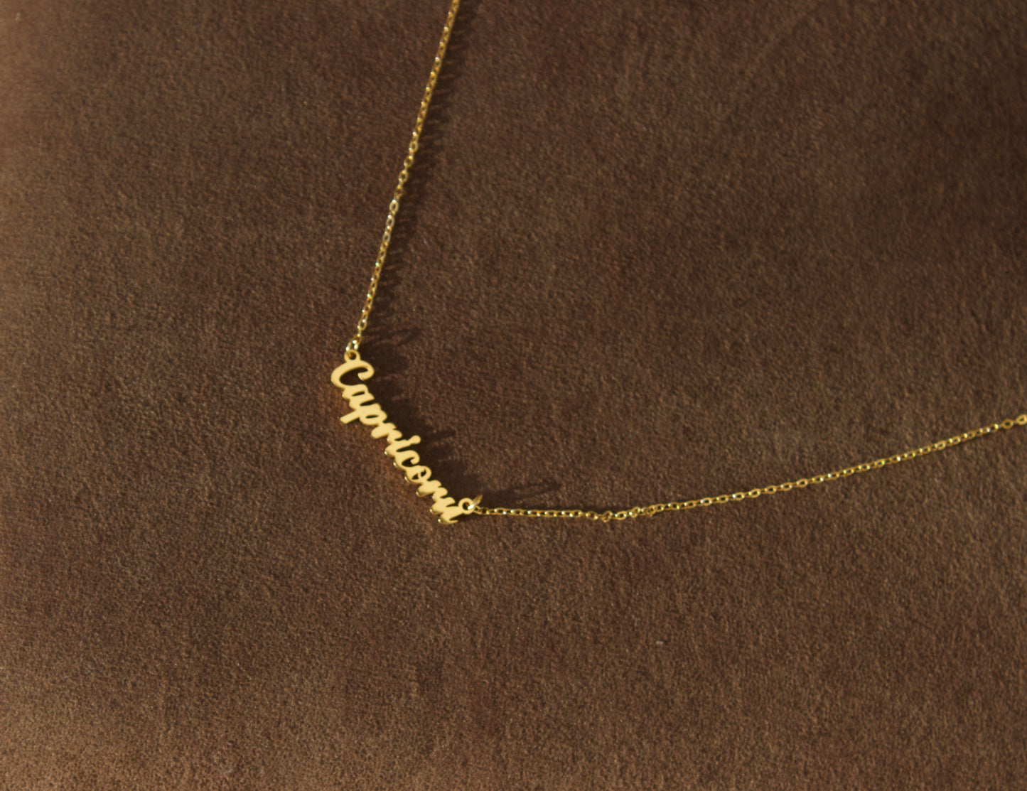 Capricorn Necklace
