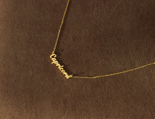 Capricorn Necklace